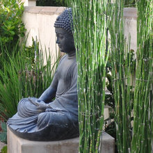 WOODLAND GARDEN