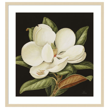Magnolia Grandiflora 2003 by Jenny Barron Framed Wall Art 31 x 33