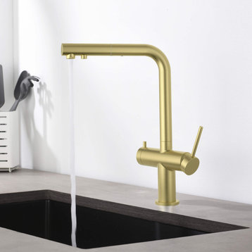 Circular 2-in-1 Water Filter Kitchen Pull Out Faucet, Brushed Gold