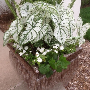 Garden Management