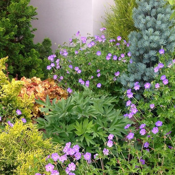 Perennial Bed Maintenance