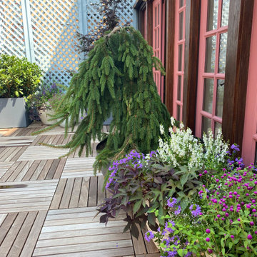 Greenwich Street Secret Garden