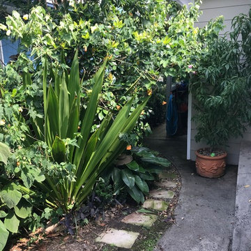 Garden design and maintenance