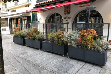 Vegetalisation d une terrasse de bar -restaurant Le Royalty Biarritz