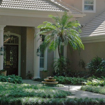 Zero Lawn Shady Garden