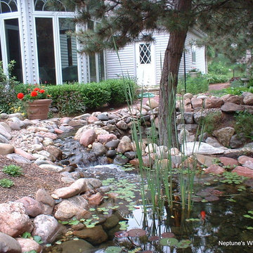 Koi Ponds and Water Gardens