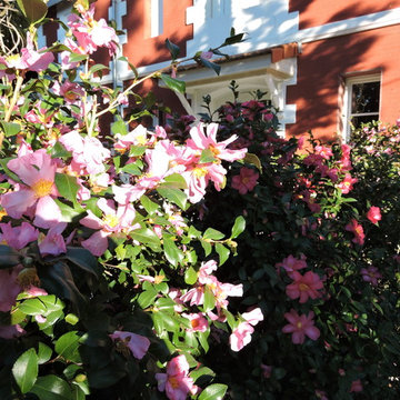NOS JARDINS