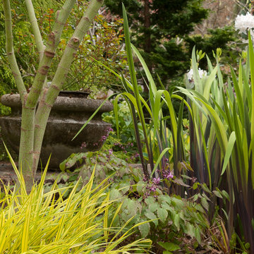 Great Plant Combinations