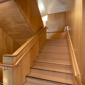 Birch Plywood