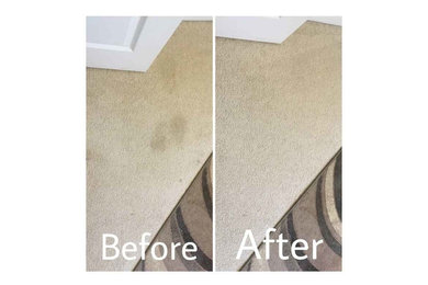 Before & After Carpet Stain Removal in Covington, GA