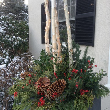 Holiday Exteriors