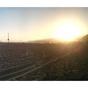 Lucy Pham's photo