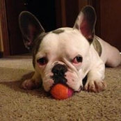 Kellie Atkins's photo