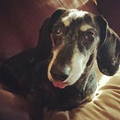 Jackie Garber's photo