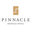 Pinnacle Panel
