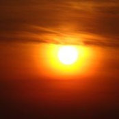 Janina Lee's photo