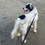 Victoria Beasley's photo