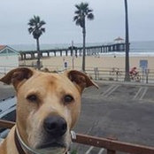 Mike Jones's photo