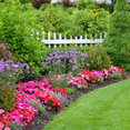 D&B Lanscape Contractors's profile photo