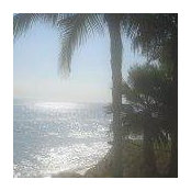 Lauren Adkins's photo