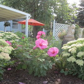 Lynne Forrestal's photo