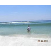 Craig Martin's photo