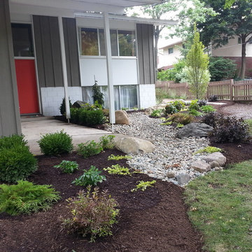 Front Yard Drainage and Plantings