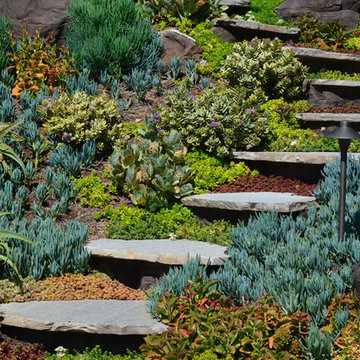 Pathways and Destinations