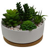 White Ceramic Wood Potted Succulents