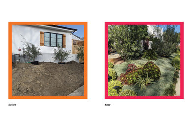 Design ideas for a landscaping in Los Angeles.