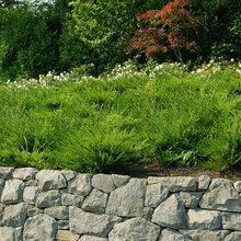 Retaining walls and hardscape materials