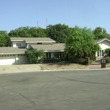 - Project - Joshua Tree - Before