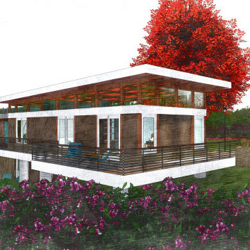 A MODERN USONIAN HOUSE