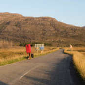 Max Lewis's photo
