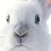 Имра Кальман's photo