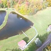 Dana Pettit's photo