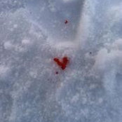 Foto von Diane Fleming