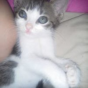 Janette Mayes's photo