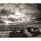 Tom Brodi's photo