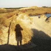Sara Wurstmann's photo