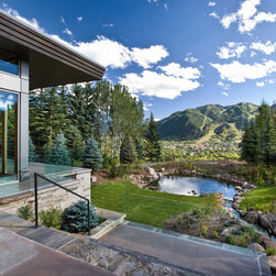 Contemporary Windows and Doors - Windows And Doors