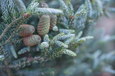 Inspiration for a craftsman drought-tolerant and partial sun backyard landscaping in Denver.
