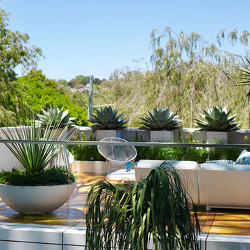 Sydney Beachside Garden