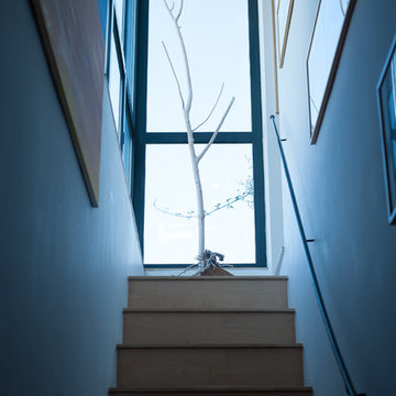 LA CASA NEL VERDE