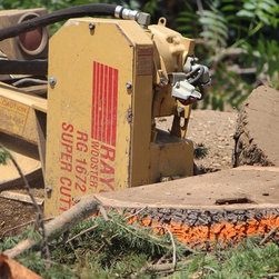 Bay Area Tree Specialists - Products