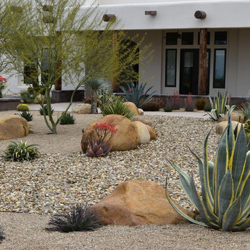 Southwestern Desert Themed Landscape and Design