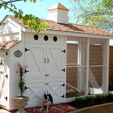 Chicken Coops And Barns