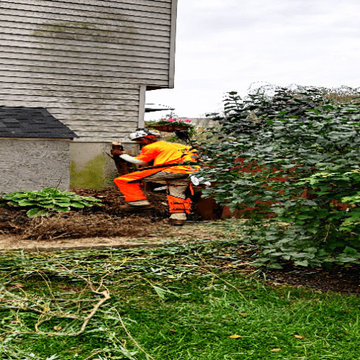 Lot Clearing Virginia Beach Virginia