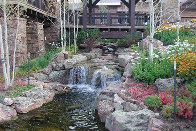 Photo of a traditional garden in Denver.