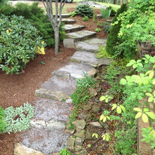 Front yard landscaping